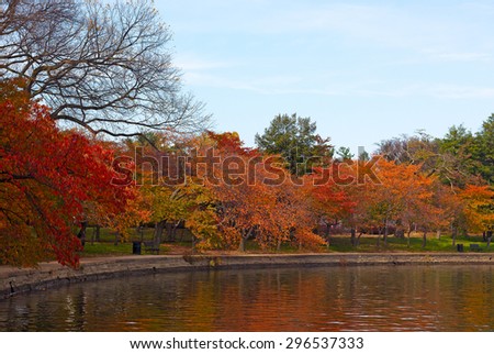 Autumn colors around Tidal Basin in US Capital. Trees in fall foliage with reflections is quiet water of Tidal Basin in Washington DC, USA