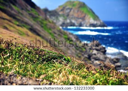 Rocky cliffs by the sea - Brazil, Fernando de Noronha