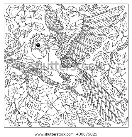 Exotic bird,fantastic flowers,branches, leaves.Contour thin line drawing.Vector fantasy stylized cockatoo jungle parrot silhouette.T-shirt print.Coloring book page for adults and children.Black White