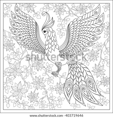 Exotic bird,fantastic flowers, leaves.Firebird for anti stress Coloring Page with high details.  Coloring book page for adults and children. Black White Bird collection. Set of illustration.