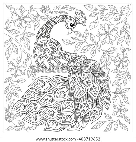 Exotic bird,fantastic flowers,  leaves. Vintage hand drawn pattern black and white doodle peacock. Coloring book page for adults and children. Black White Bird collection. Set of illustration.