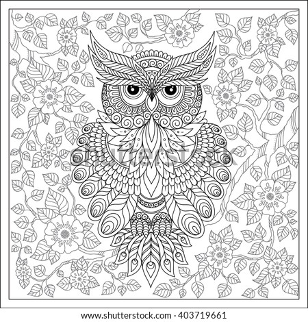 Exotic bird,fantastic flowers,branches, leaves. Coloring page with cute owl and floral frame. Coloring book page for adults and children. Black White Bird collection. Set of illustration.