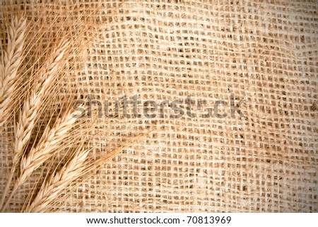 wheat on burlap