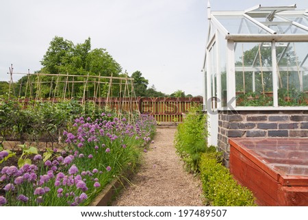 Greenhouse and raised vegetable beds in the English cottage vegetable garden.