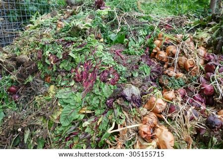 Rotting vegetables on the gardeners compost heap.