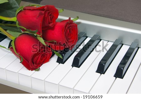 الـــعــزف عــلى أوتـــار الـــرومــنــســية Stock-photo-red-roses-on-the-keyboard-of-the-piano-19106659