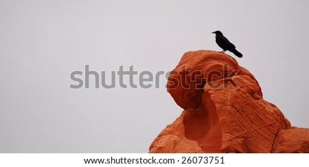 Raven On Red Cliff