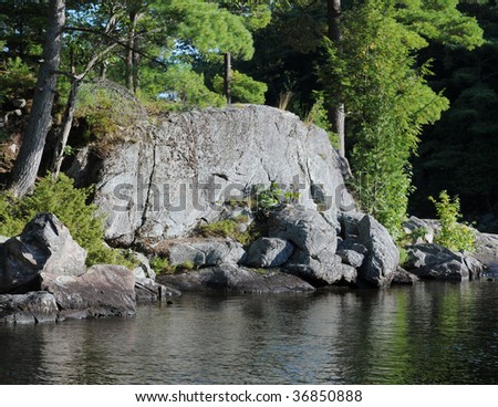 Cliffs with pine trees on a dark river