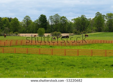 Wooden rail fence