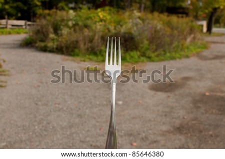 Fork in the road