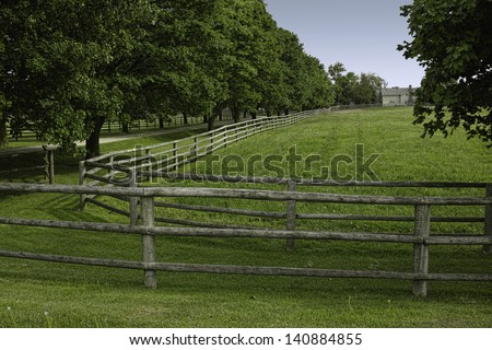 Wooden rail fence and a tree-line fence