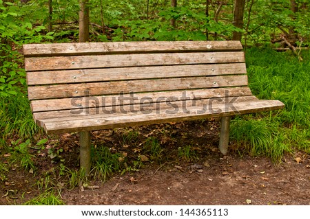 Bench in a forest