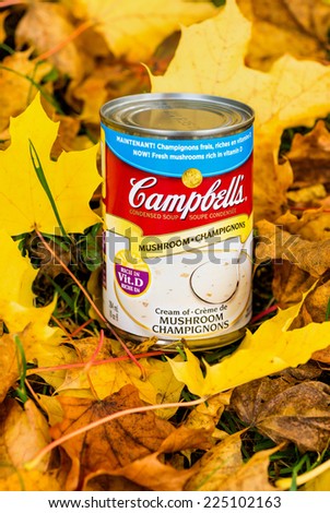 TORONTO, ONTARIO - OCTOBER 19, 2014: Photo of a Campbell Soup can, photographed on colorful autumn maple leaves