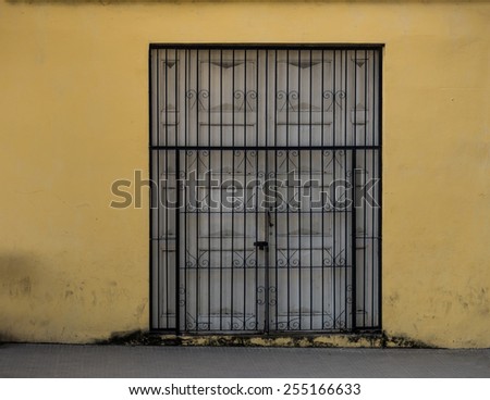 Double door with metal bars
