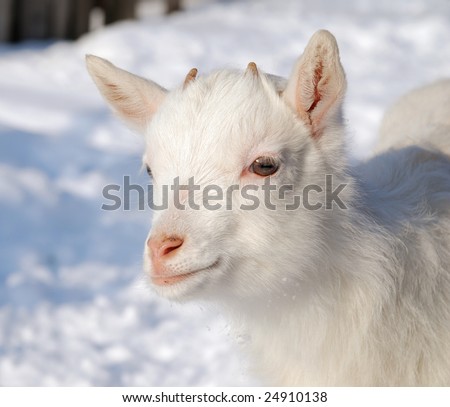 Kid In Snow