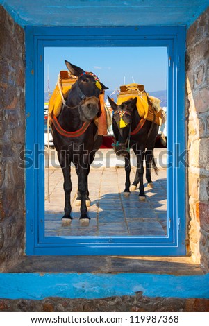 Two Donkeys posing funny threw window frame of a house at Santorini island Greece