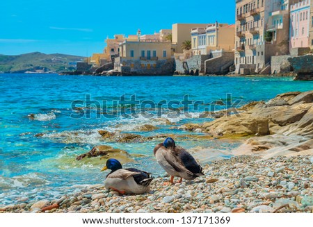 Greece Syros island artistic view of main capitol, also known as little venice at summer time, Syros is located in Cyclades, Shoot with two ducks posing in front of main capitol of Syros