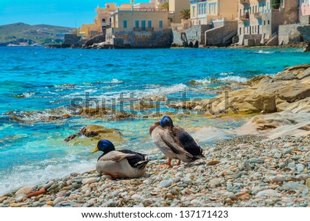 Greece Syros island artistic view of main capitol, also known as little venice at summer time, Syros is located in Cyclades. Shoot with two ducks posing in front of main capitol of Syros
