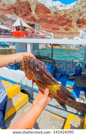 Greece Santorini island in Cyclades,  Ammoudi village with fishing boats and fresh fishes in boxes from fishermen