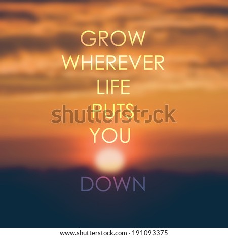Life quote  on sunrise  background, inspirational background. Life quote.