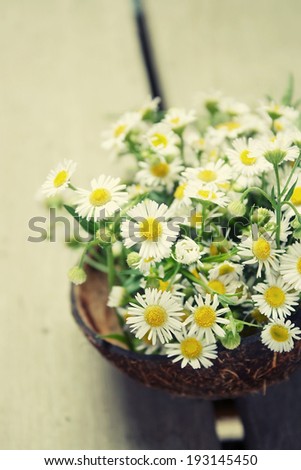 Bouquet of white gypsophila and filtered image, baby\'s breath flowers, on wooden background