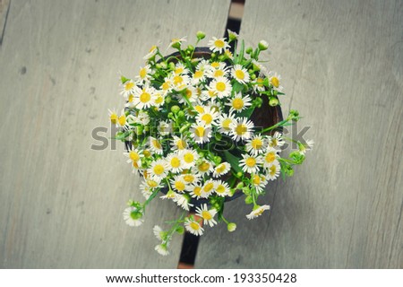 Bouquet of white gypsophila, baby\'s breath flowers, on wooden background
