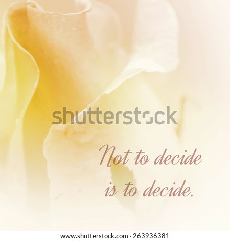 Inspirational Motivational Life Quote on Flower in Soft Focus Background Design.