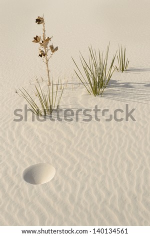 Sand Patterns, White Sands National Monument