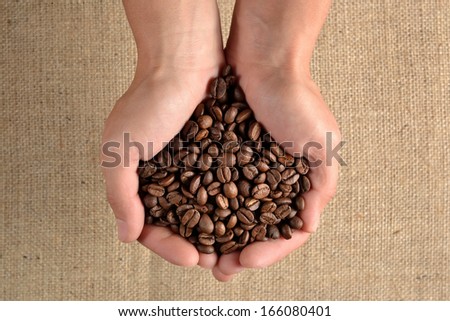 Coffee beans in the palm of hands