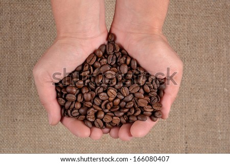 Coffee beans in the palm of hands