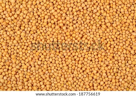 White mustard seeds as background texture