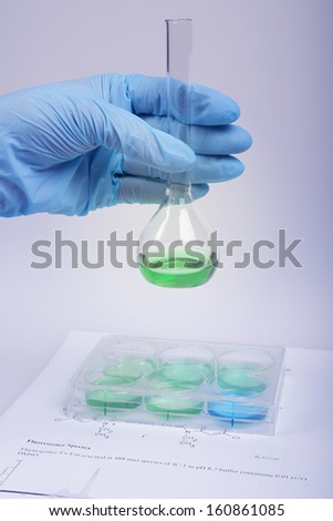 cell cultures in biomedical research laboratory using 6-well plates