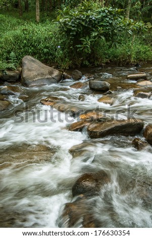 stream in the forest of  Thailand