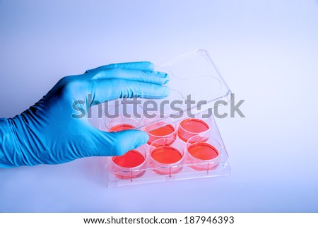 scientist working at laboratory, using a 6-well plate. Plastic plate for biochemical research.