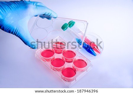scientist working at laboratory, using a 6-well plate. Plastic plate for biochemical research.