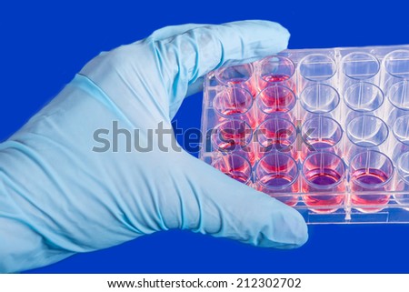 Human stem cells in biomedical scientific laboratory.