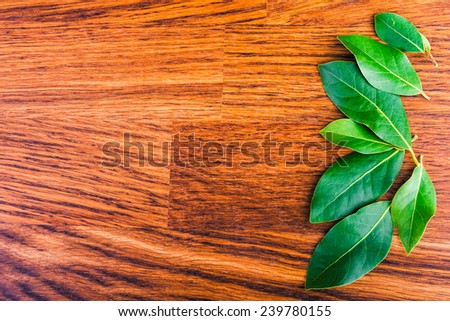 laurel  leaves   on a  brown wooden board