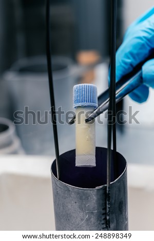 Gloved hand hold the tube with cell suspension for cryopreservation. A Liquid Nitrogen bank containing suspension of stem cells. Cell culture for the biomedical diagnostic.