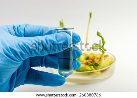 workplace on laboratory for  biotechnology test. Scientist holding samples of plants