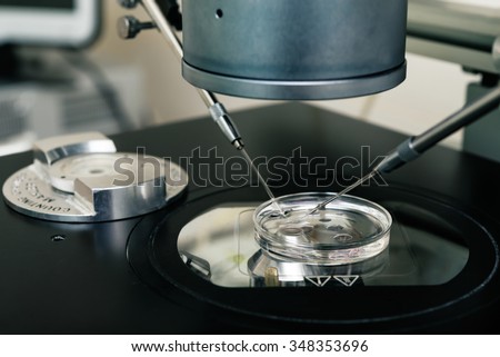 Embryologist transferring   eggs for in vitro fertilization process. Equipment on laboratory of Fertilization, IVF.