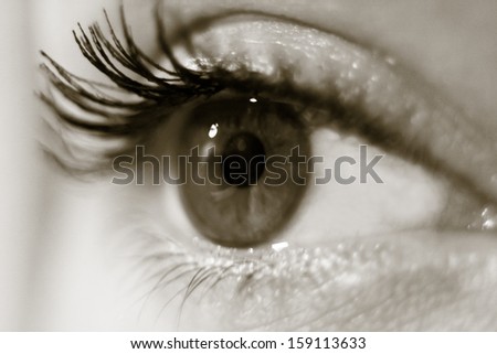 woman\'s eye with make up close up in sepia mode