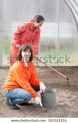 Happy women works at greenhouse in spring