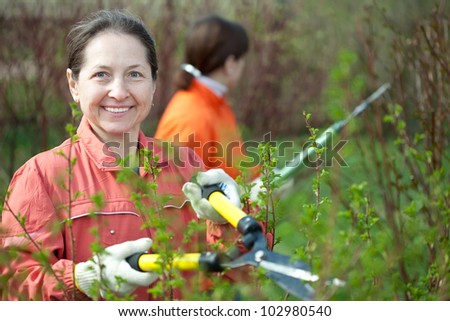 Two women trimming bough of an bush