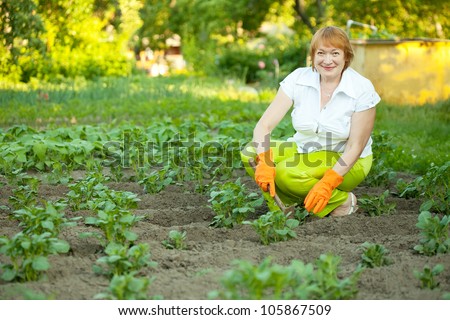 Happy mature woman works in potato plant