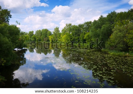 Summer landscape with overgrown lake