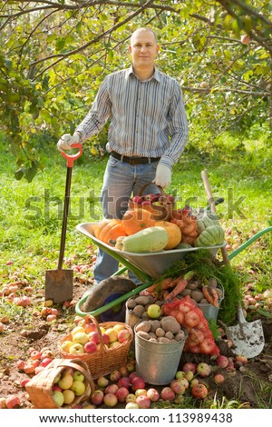 man with vegetables harvest in garden