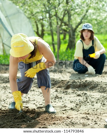 Two women sows seeds in soil at field