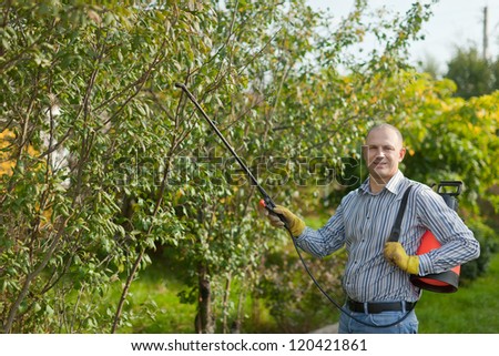 working man works with garden spray  in summer orchard