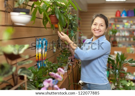 Female florist with Nepenthes plant at flower store