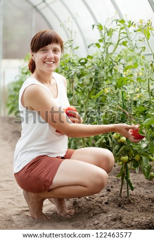 Happy young woman with tomato harvest in hothouse